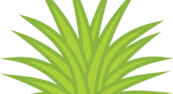 Shrubby