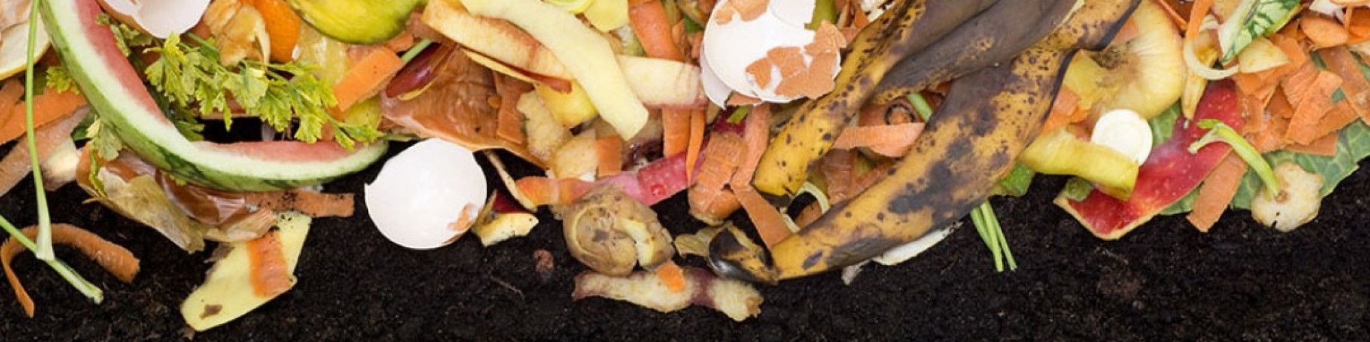 Compost food items
