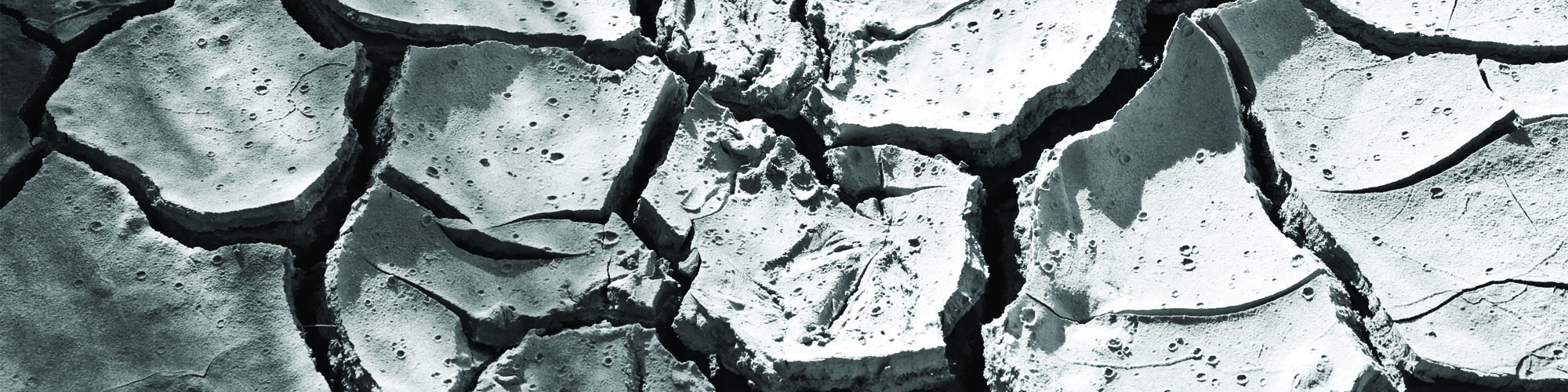 Drought earth cracked
