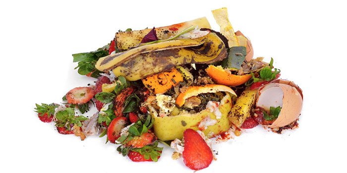 Food Waste Compost Organics thanksgiving