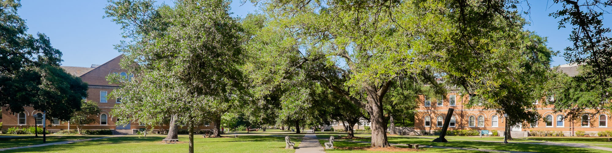 College & University Campus Recycling