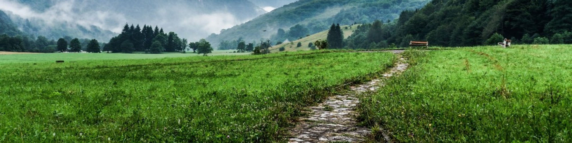 green fields with dirt path in mountain valley