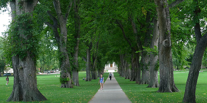 Colorado State University