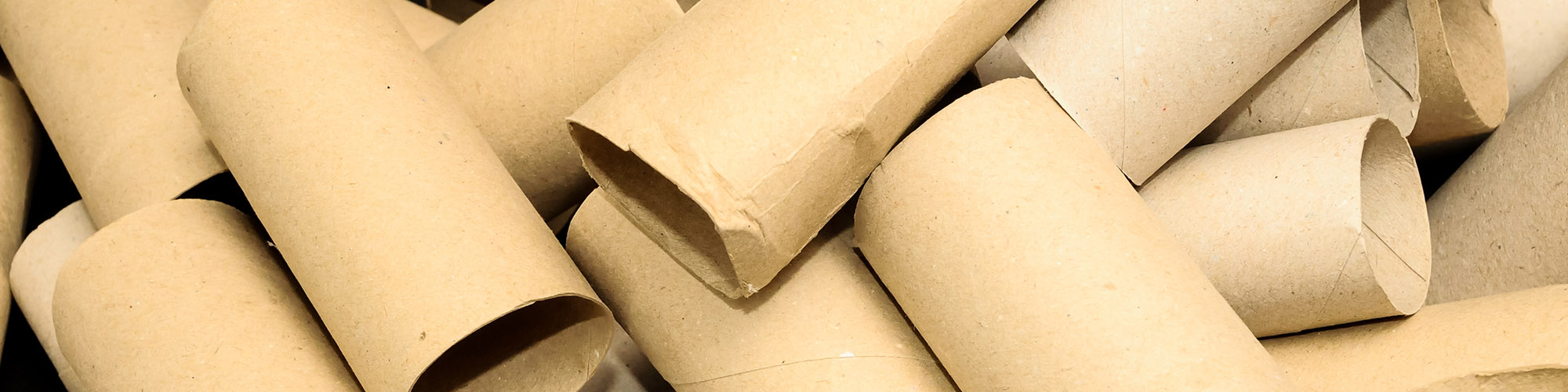 TOILET PAPER ROLLS
