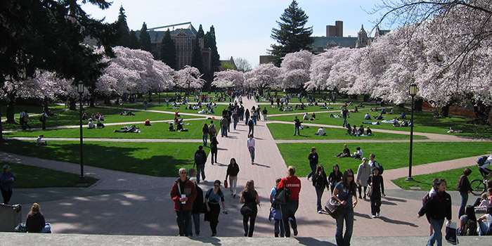 University_of_Washington