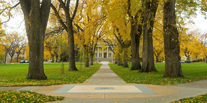 COLORADO STATE.