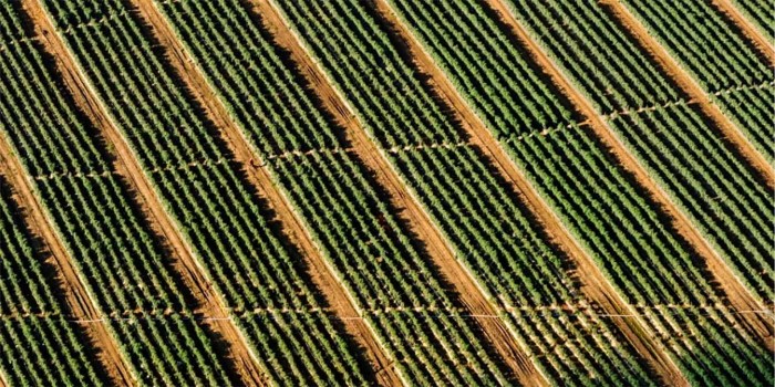 farmers fields