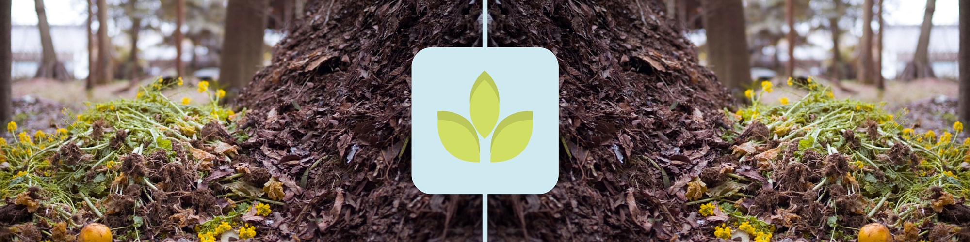 compost waste diversion organic
