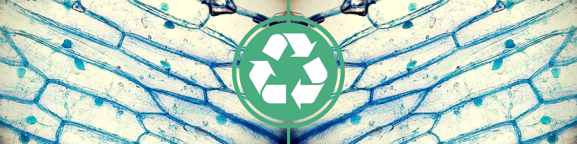 plastic eating bacteria recycling reuse reduce