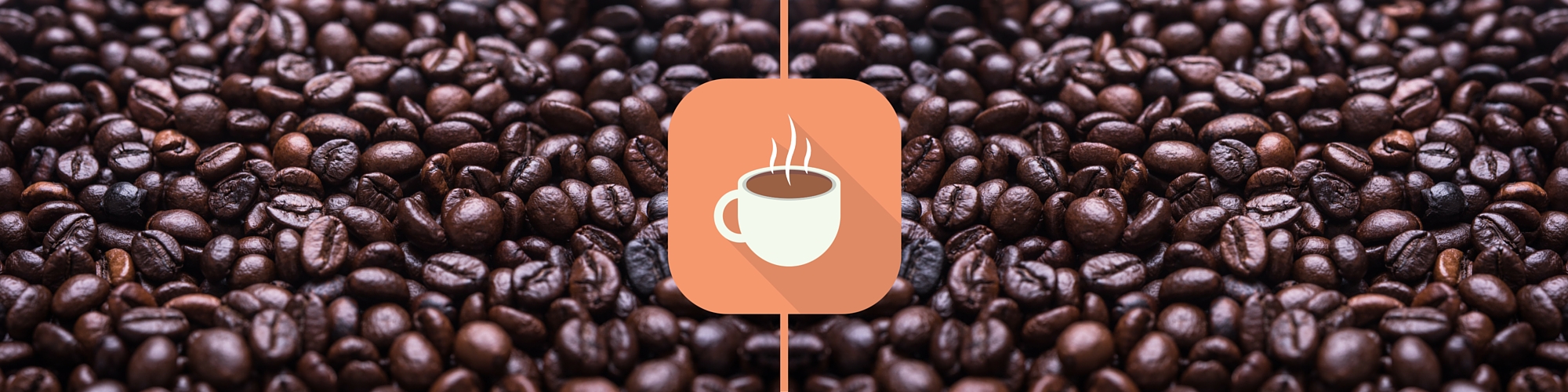 starbucks sustainability bond coffee beans eco