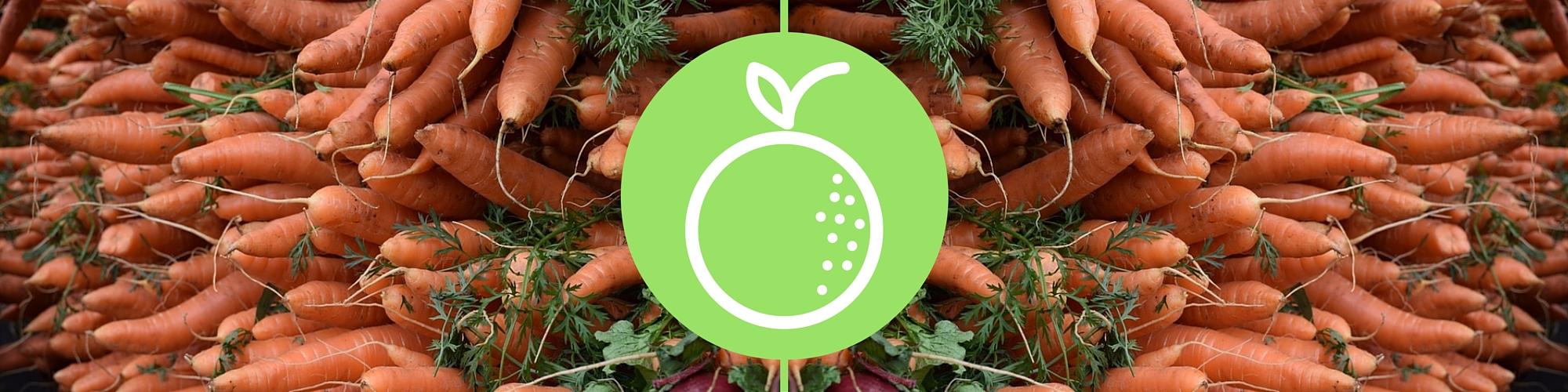 reduce food waste top tips resources organics reduction