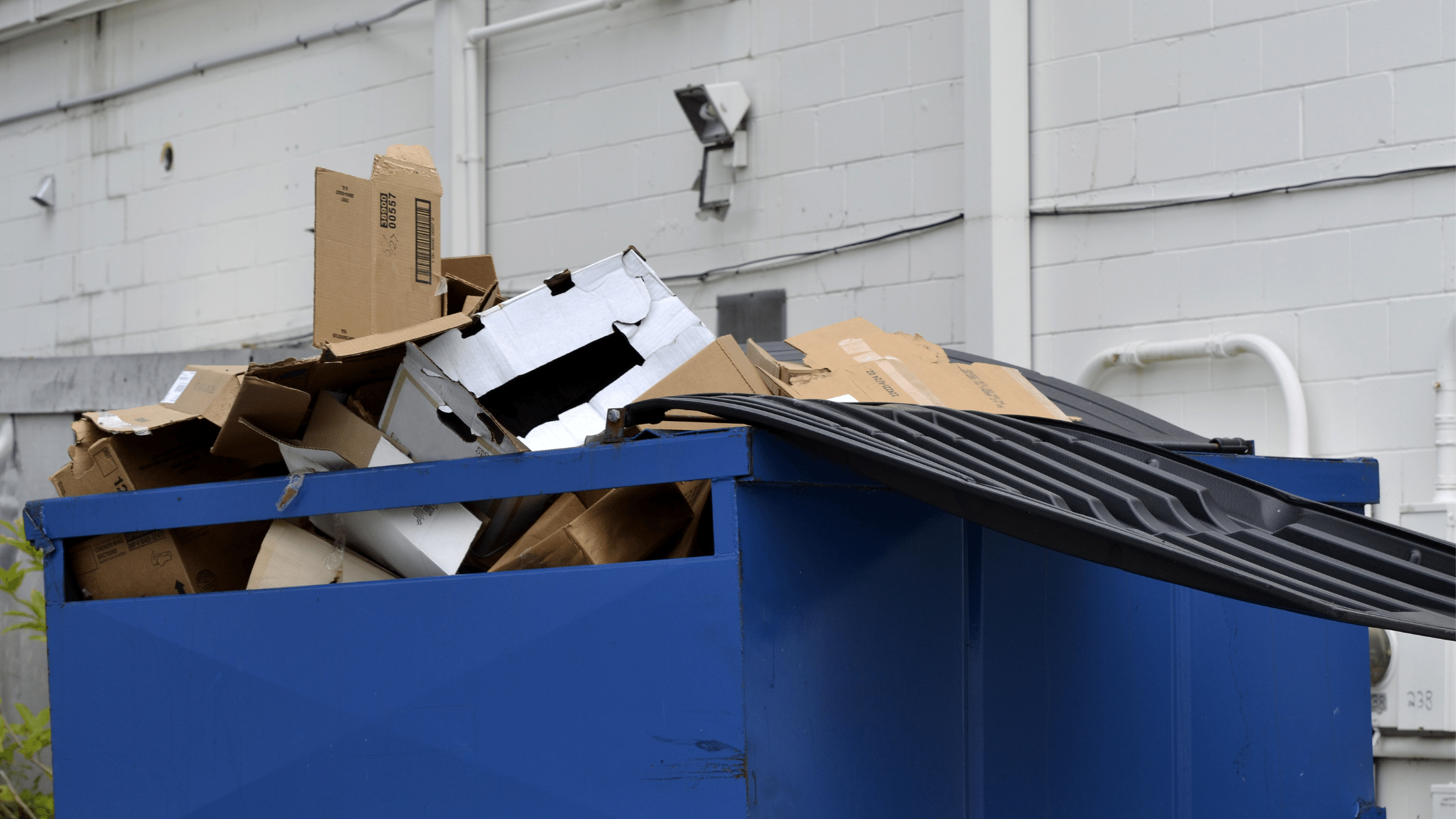 image showing large blue metal dumpster full of recyclables against white brick wall