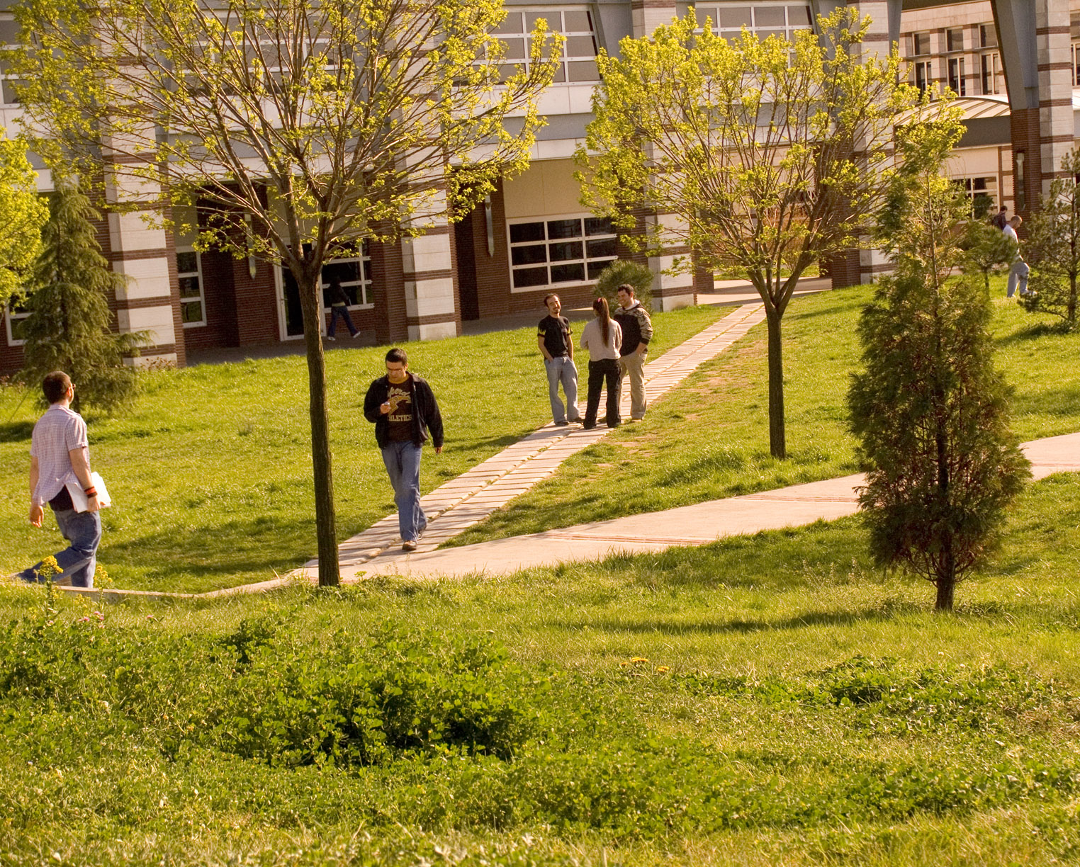 green college campus