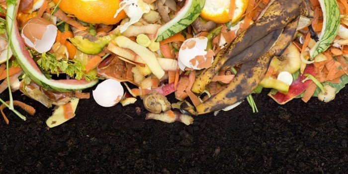 FOOD WASTE