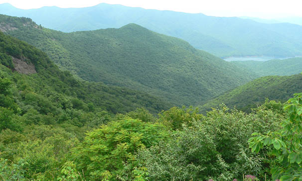 Tennessee Recycling Grants Greenery Sustainability Eco-Friendly