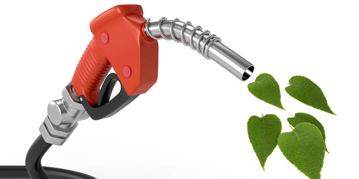 biodiesel fuel pump with leaves