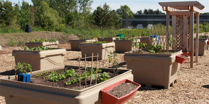 Busch Systems Community Garden