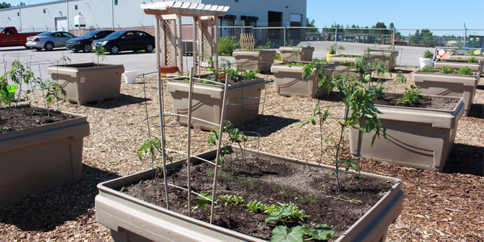 Busch Systems Community Garden