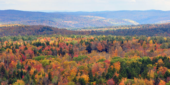 Vermont hogback mountains