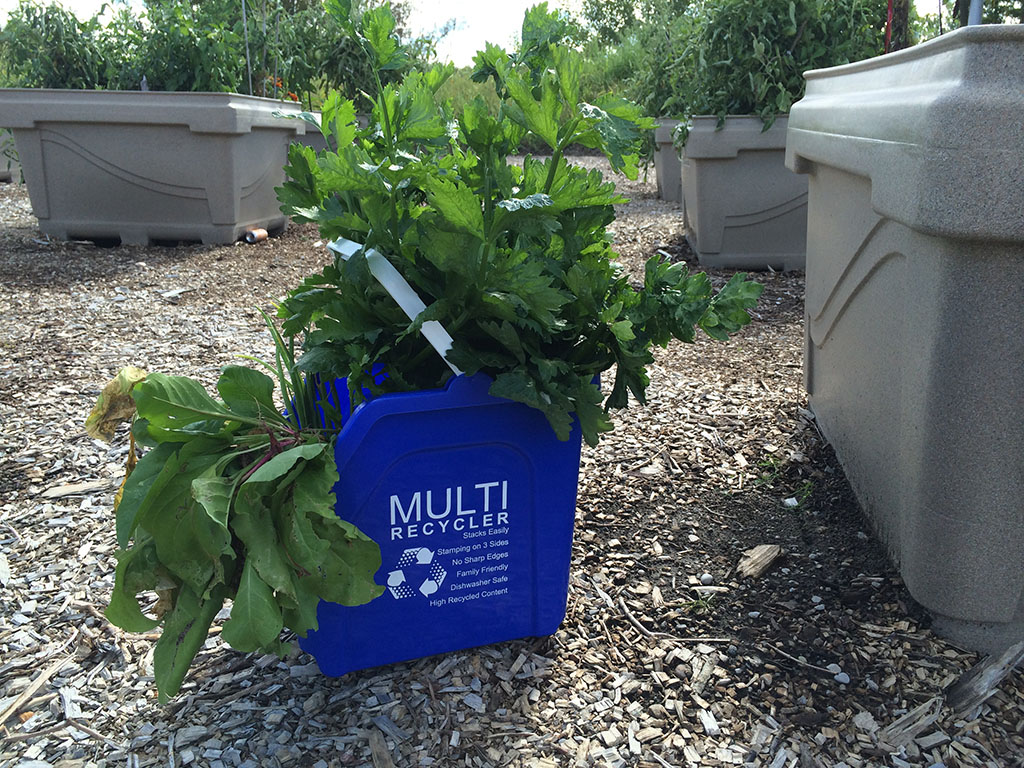 Busch Systems Community Garden