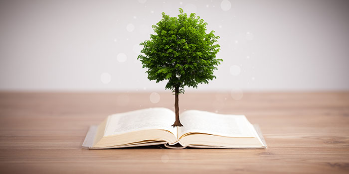 Tree growing from an open book