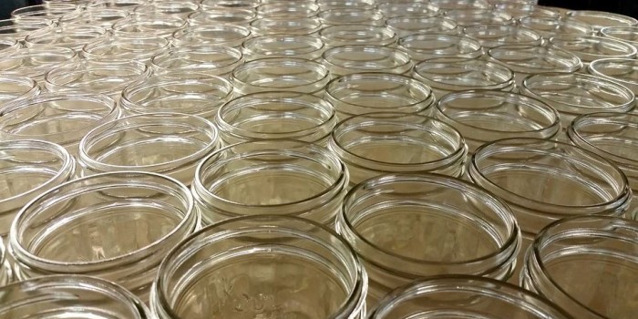 GLASS JARS