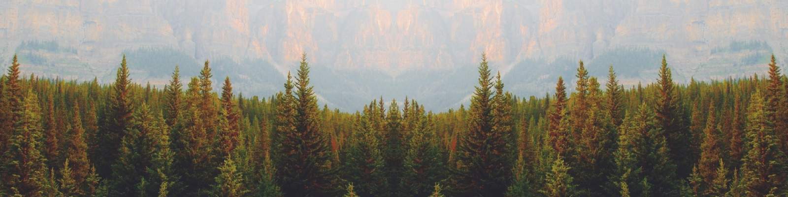 https://www.buschsystems.com/resource-center/images/uploads/library/canada-day-ecotourism.jpg