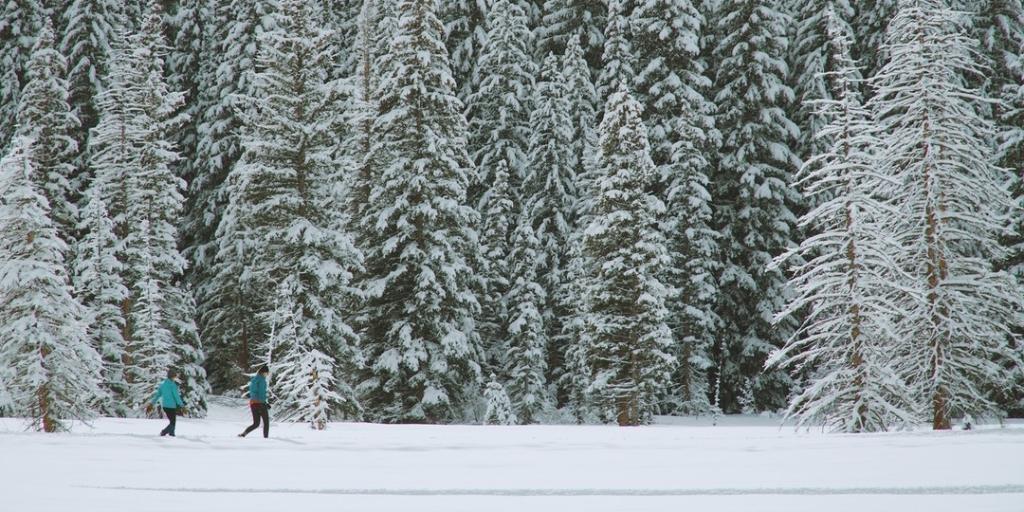 https://www.buschsystems.com/resource-center/images/uploads/library/snowshoing.png
