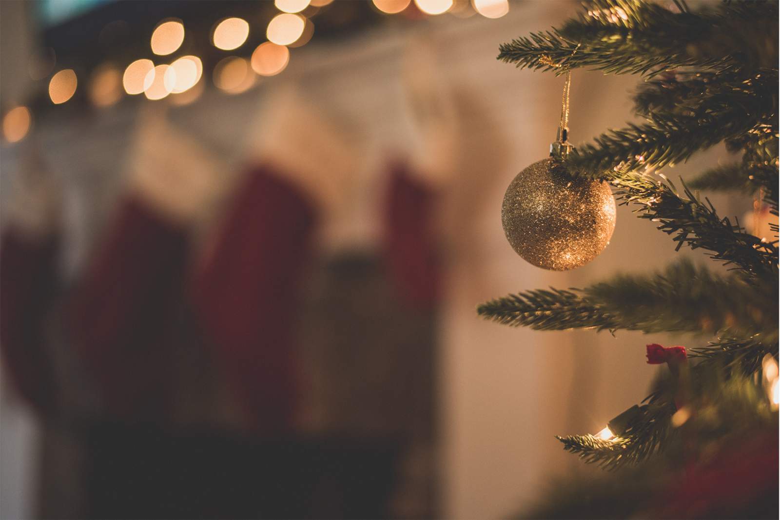 https://www.buschsystems.com/resource-center/images/uploads/library/rc-header---tis’-the-season…for-waste-(1).jpg