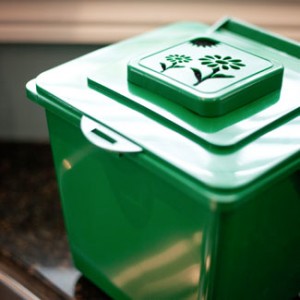 Indoor Compost Bin