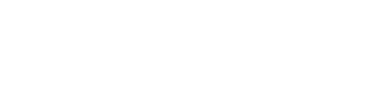 Busch Systems logo