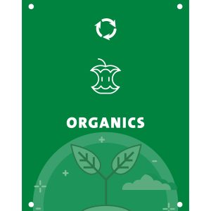 EVOLVE - Body Sign - Organics - Green