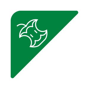 RISE - Label - Organics - Green