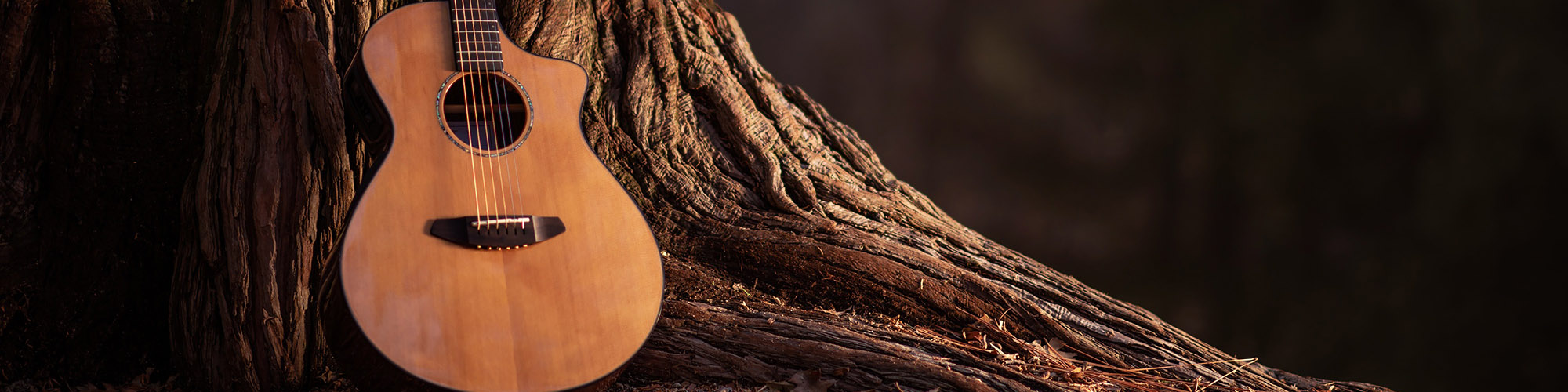 Wooden Acoustic Guitar and the Tree Music Concept Photo.