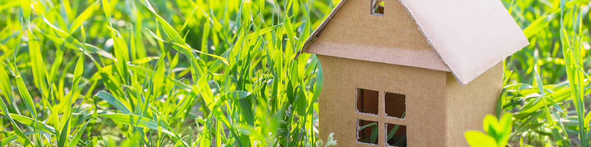 small card box house in the grass