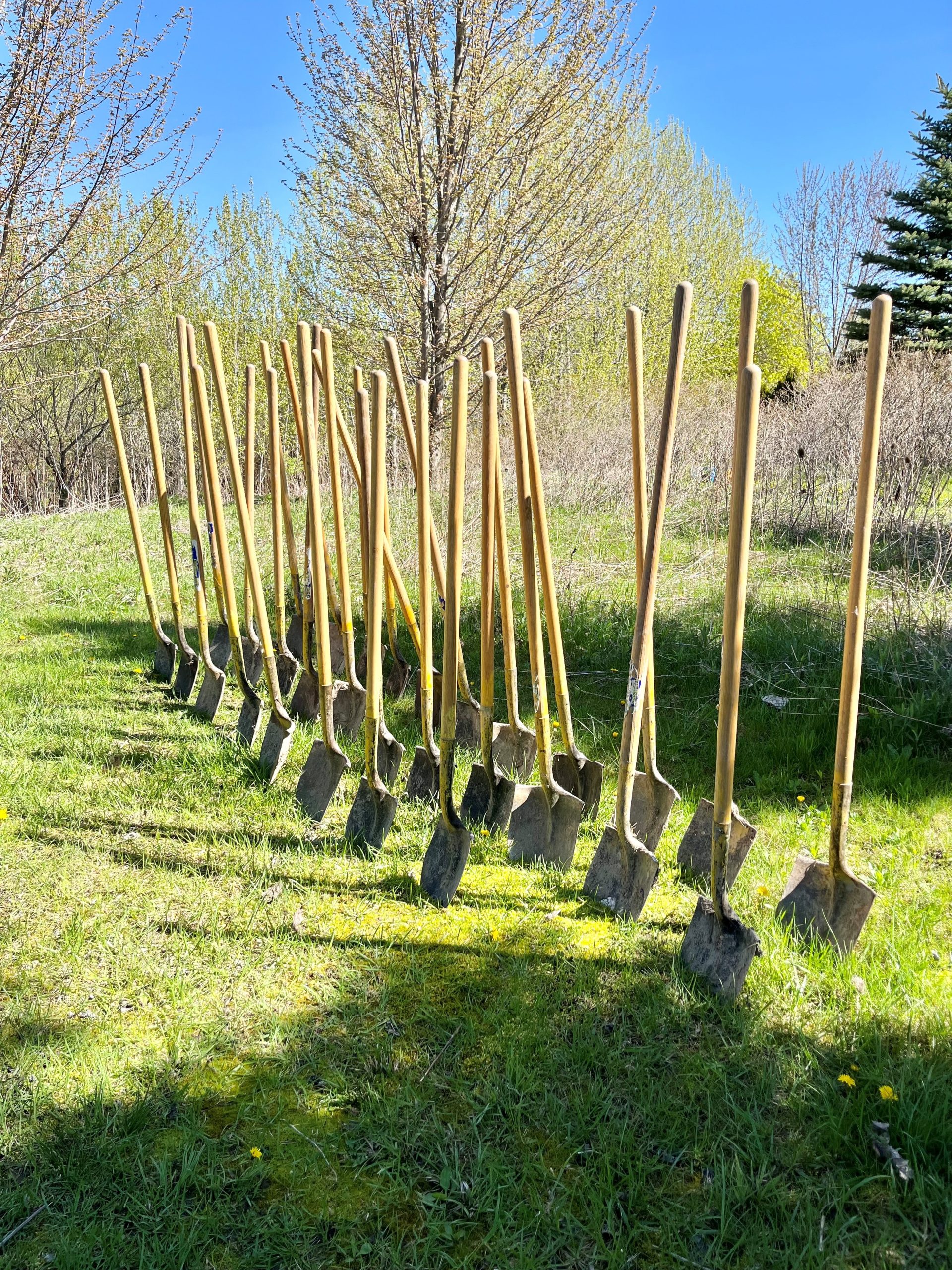 shovels