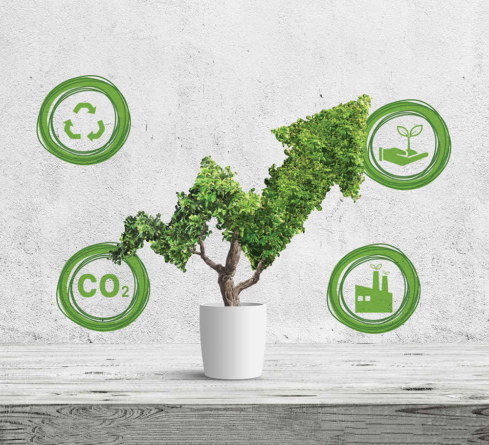 Sustainability_CarbonGraph-Page