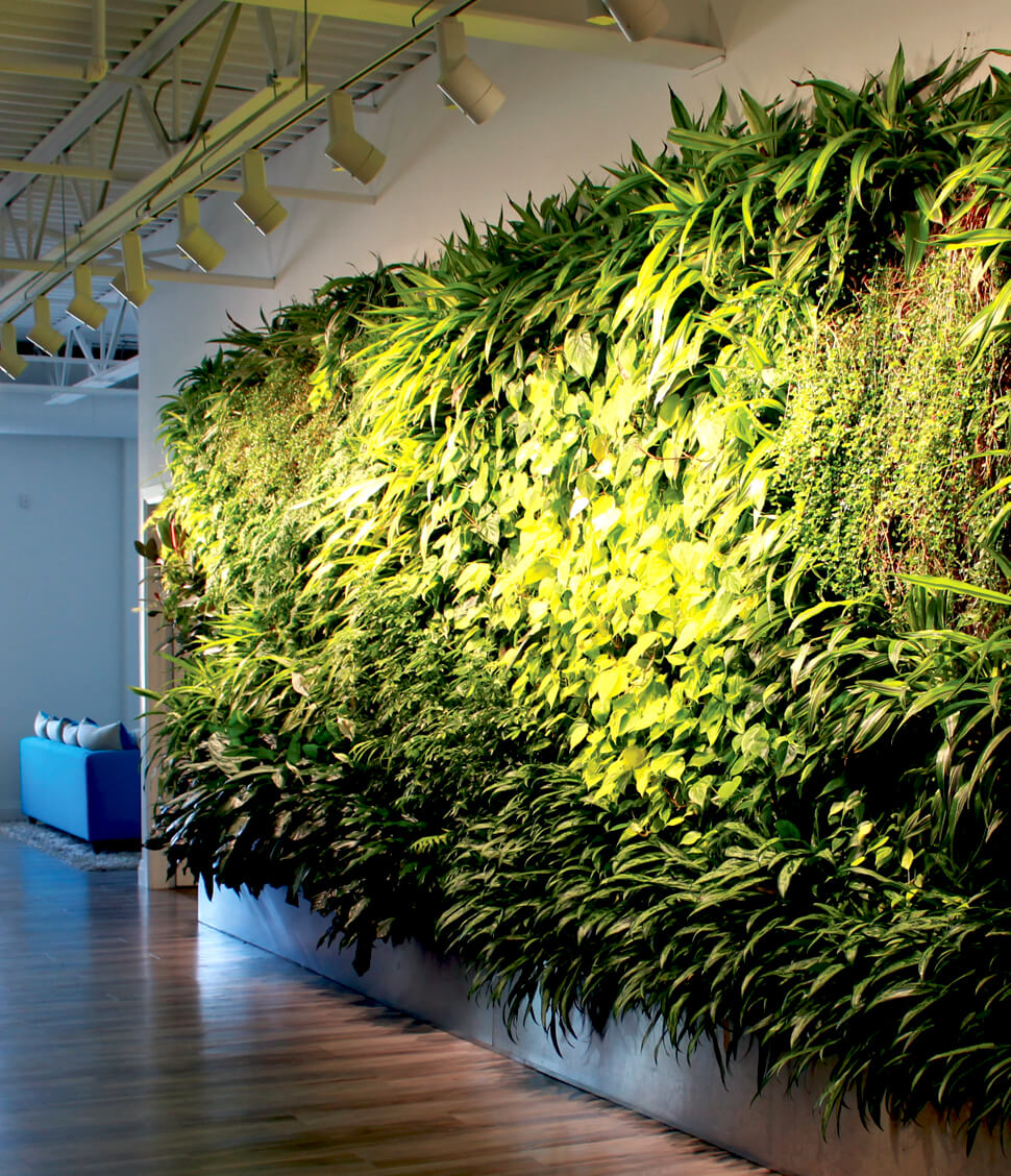 living green wall in an upscale office
