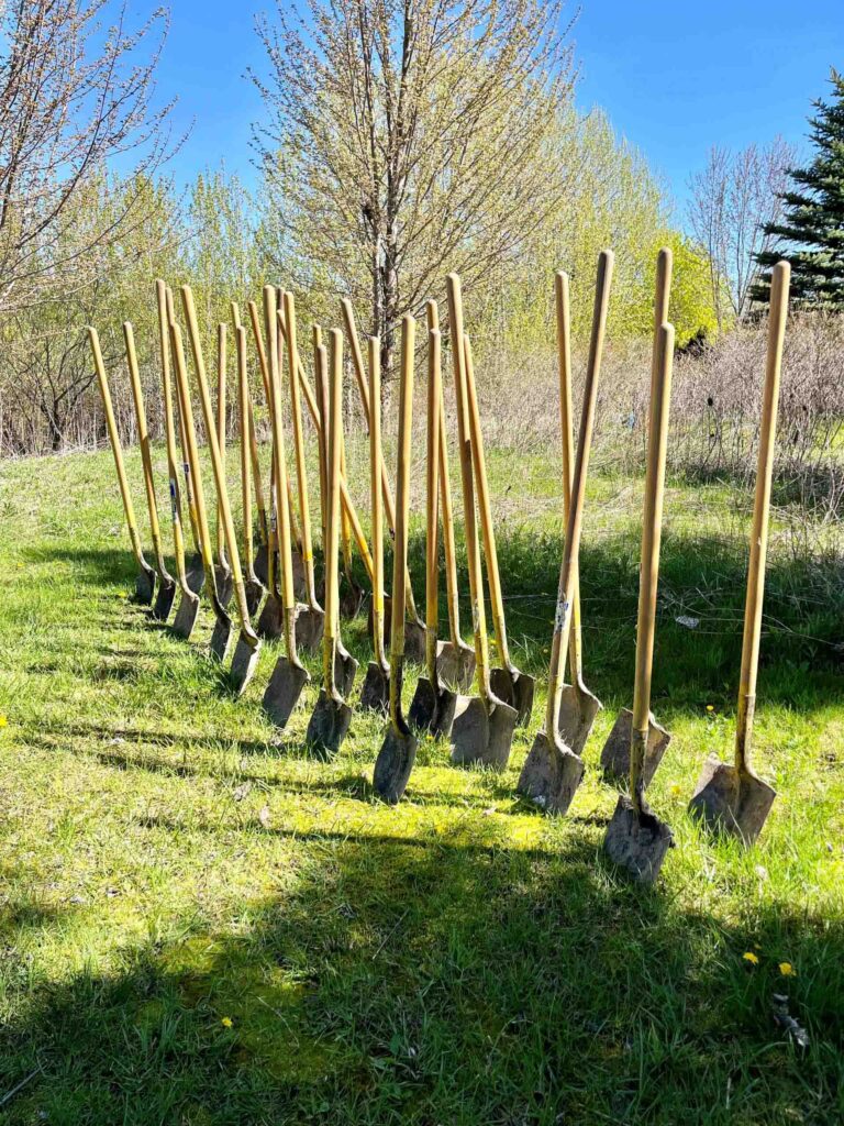 Shovels in the ground at a park on a sunny day