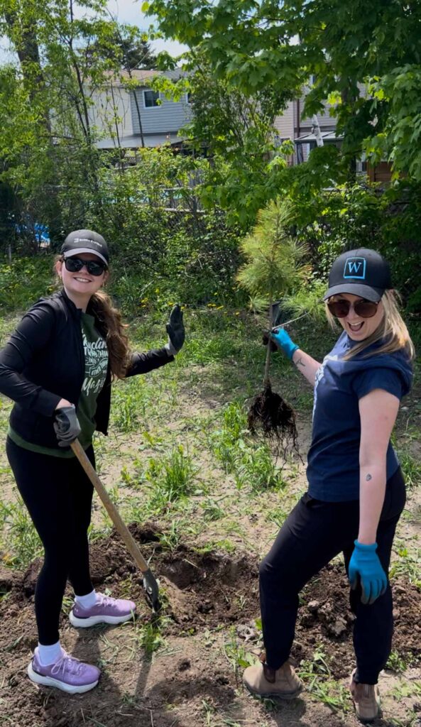 two women with a shovel planting trees