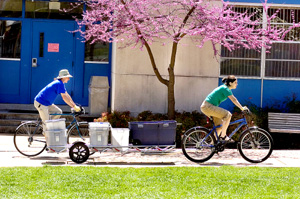 Bicycle Recycle Bicycle Recycle